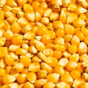 Kukurydza 1kg